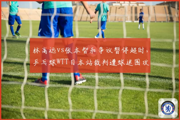 林高远vs张本智和争议暂停超时,乒乓球WTT日本站裁判遭球迷围攻